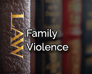 domestic violence attorney